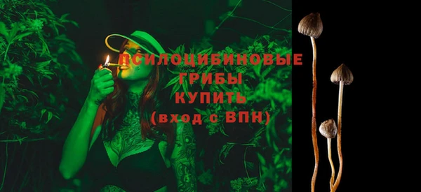 ALPHA PVP Вяземский