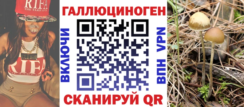 Купить где  Лихославль  Галлюциногенные грибы прущие грибы 